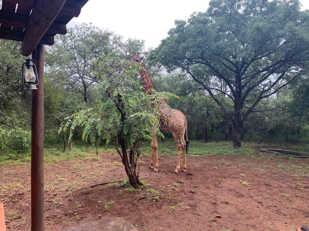 Athule Inn Marloth - House Marloth Park Exterior foto